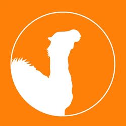 Agência Saara - Expressing your Brand