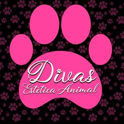 Divas Estética Animal