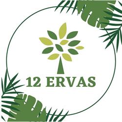 12 ERVAS PRODUTOS NATURAIS