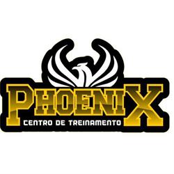 CT Phoenix - B9