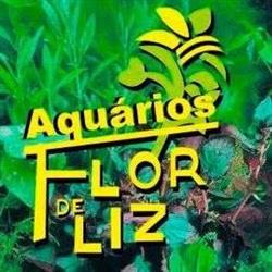 AQUÁRIOS FLOR DE LIZ