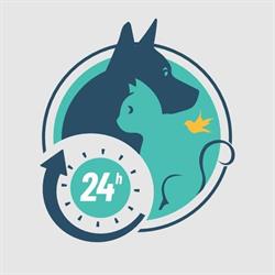 Hospital Veterinário Palhoça - 24 horas
