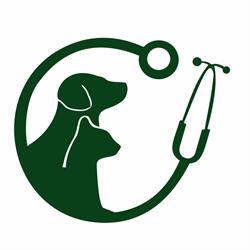 Vida Animal Clínica Veterinária