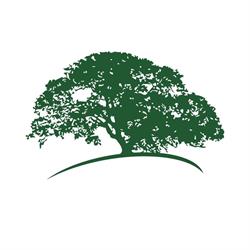 Verde Arte Paisagismo