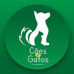 Clínica Cães e Gatos