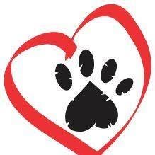 Mundo Pet Shop - Banho e Tosa - Pet Shop