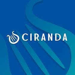 Instituto Ciranda - Música e Cidadania