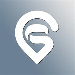 GS Consig