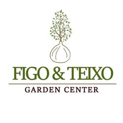 Loja Figo e Teixo Garden Center