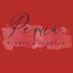 Pequiá flores e plantas
