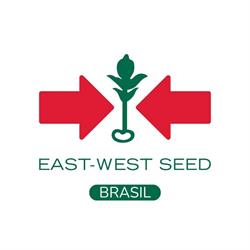 East-West Seed Brasil