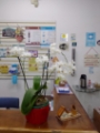 Fotos da Clínica