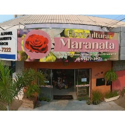 Floricultura Maranata