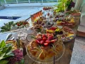 Mesa de aperitivos para festas bh