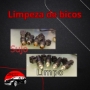 Limpeza de Bicos