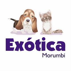 Exótica Morumbi