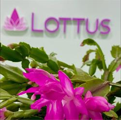 Lottus Espaço Integrativo