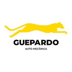 Auto Mecânica Guepardo