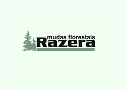 Mudas Florestais Razera