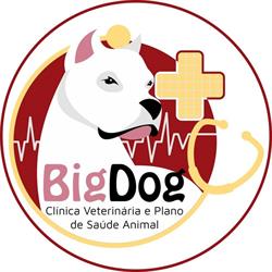 Big Dog Clínica Veterinária