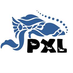 Peixolandia Peixes Ornamentais