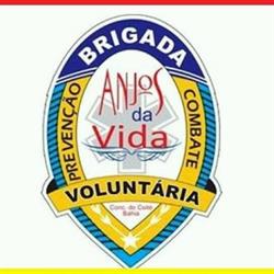 Brigada Voluntária Anjos da Vida