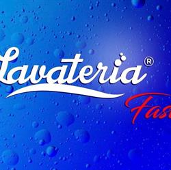 Lavateria Fast - Brás Cubas