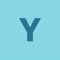 Yankee Burger