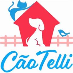 CãoTelli