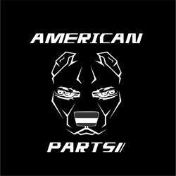 AMERICAN PARTS AUTO PEÇAS - PEÇAS AUTOMOVIAS MULTIMARCAS EM GERAL