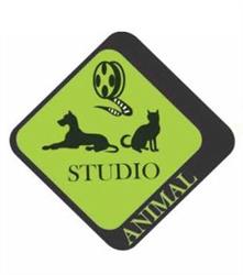 Agropecuaria e Pet Shop Studio Animal