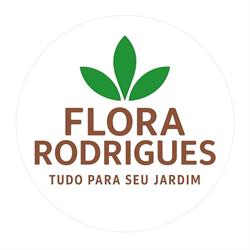 Flora Rodrigues piedade