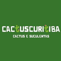 Cactus Curitiba