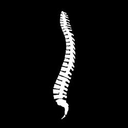 M Quiropraxia Vinhedo