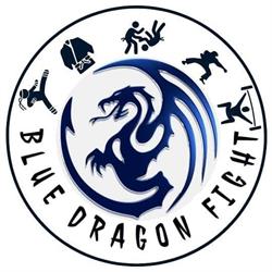 Blue Dragon Fight