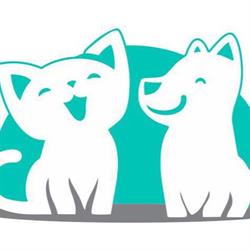 Animale Medicina Veterinária Diagnóstica