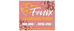 Floricultura Fênix