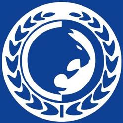 Renzo Gracie Team Tubarão