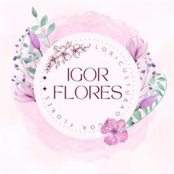 Igor Flores Floricultura