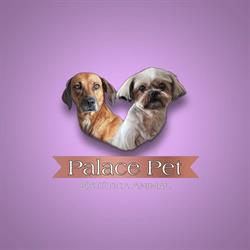 Palace Pet Shop