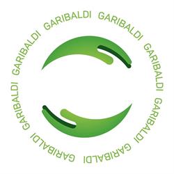 Masterplan Garibaldi