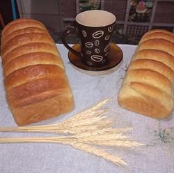 Pão Caseiro da Serra