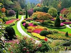 Floricultura Takashi