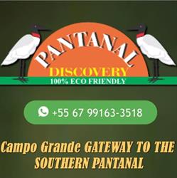 Pantanal Discovery