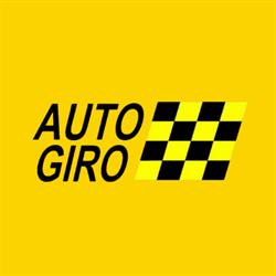 Auto Giro Distribuidora Peças - Santa Luzia