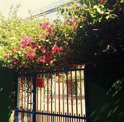 Escola de Educação Infantil Patotinha Feliz.