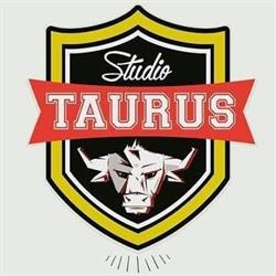 Studio Taurus