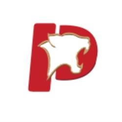 PUMA Lajes Alveolares