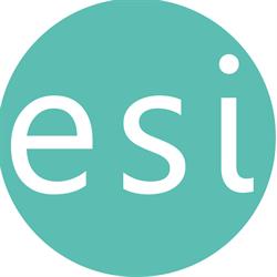ESI Cybersecurity