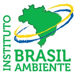 Instituto Brasil Ambiente